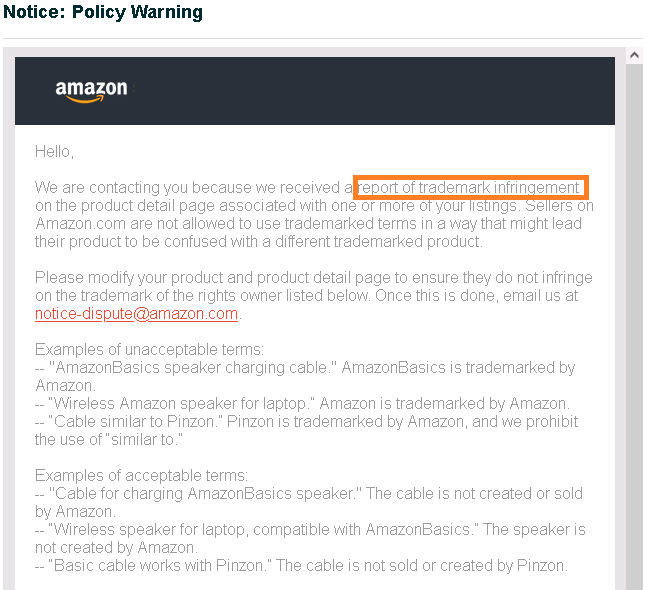 Intellectual Property Infringement