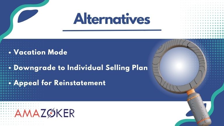 Explore alternatives to Closing Your Amazon Seller Account