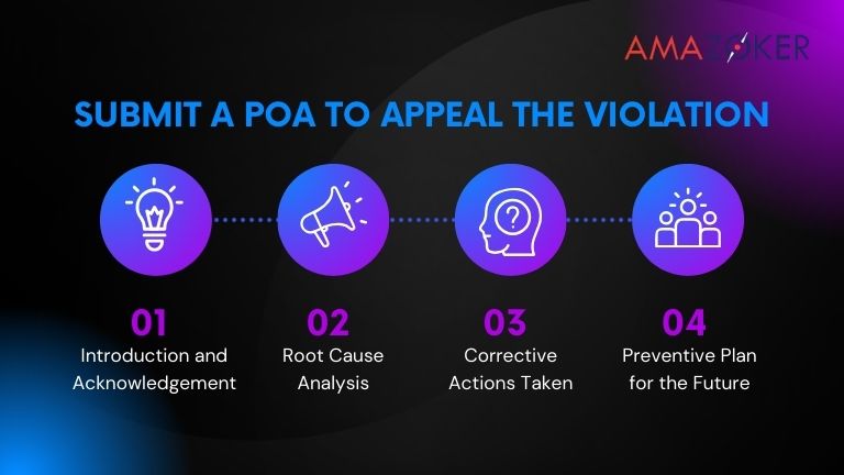 Steps for creating a Plan of Action for appealing a violation